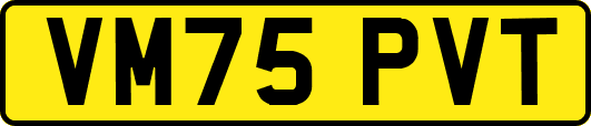 VM75PVT