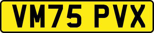 VM75PVX