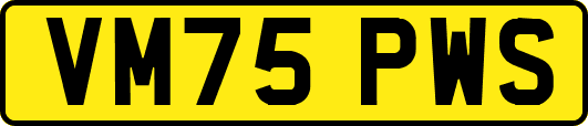VM75PWS