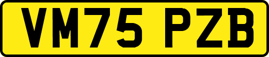 VM75PZB
