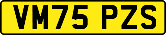 VM75PZS