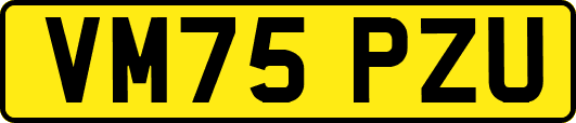 VM75PZU