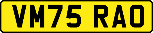VM75RAO