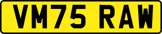 VM75RAW