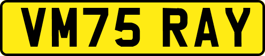 VM75RAY
