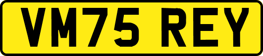 VM75REY
