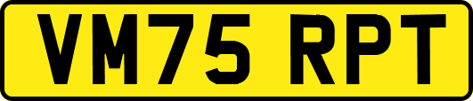 VM75RPT