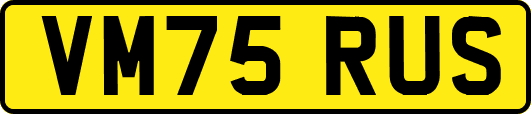 VM75RUS