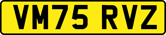 VM75RVZ
