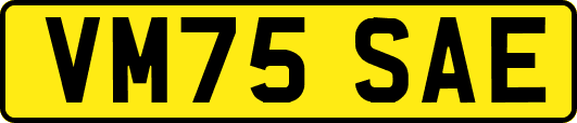 VM75SAE