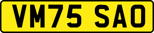 VM75SAO