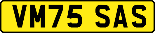 VM75SAS