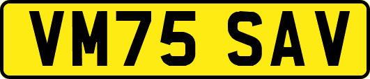 VM75SAV