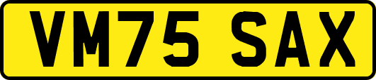 VM75SAX