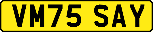 VM75SAY