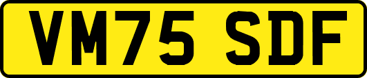 VM75SDF