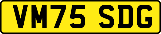 VM75SDG