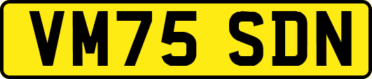VM75SDN
