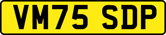 VM75SDP