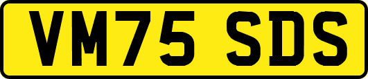 VM75SDS