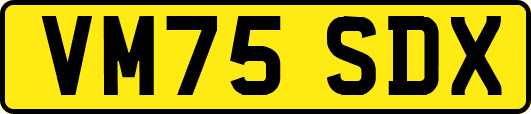 VM75SDX