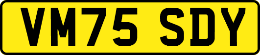 VM75SDY