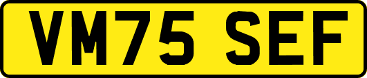 VM75SEF