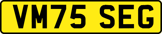 VM75SEG