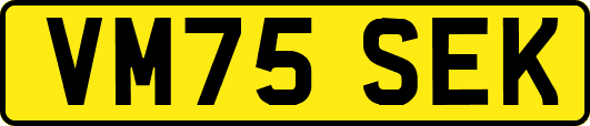 VM75SEK