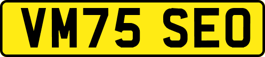 VM75SEO