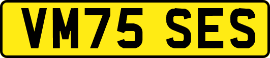 VM75SES