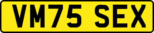 VM75SEX