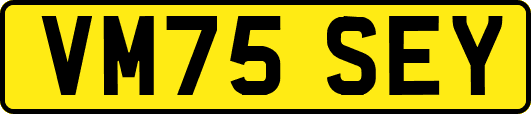 VM75SEY