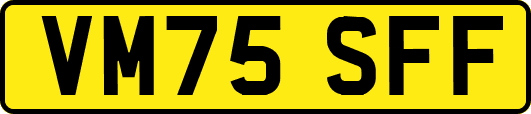 VM75SFF