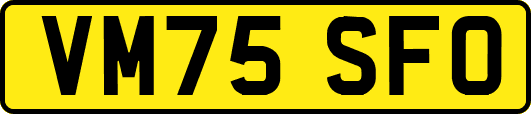 VM75SFO