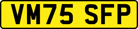VM75SFP