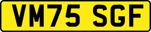 VM75SGF