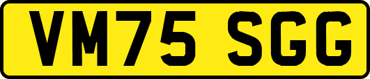 VM75SGG