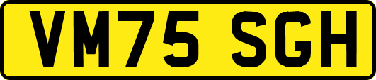 VM75SGH