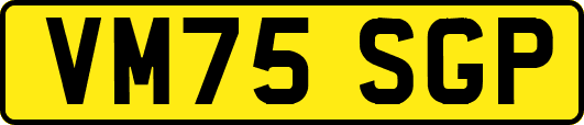 VM75SGP