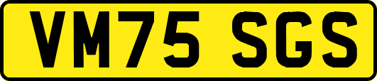 VM75SGS