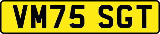 VM75SGT