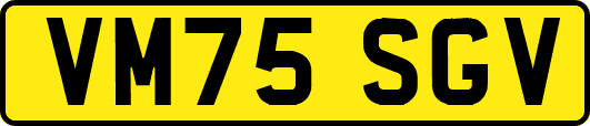 VM75SGV