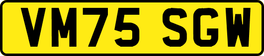 VM75SGW