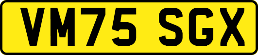 VM75SGX