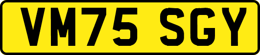 VM75SGY