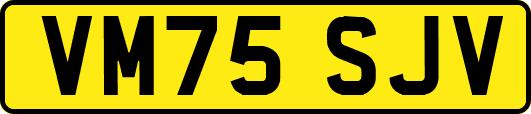VM75SJV