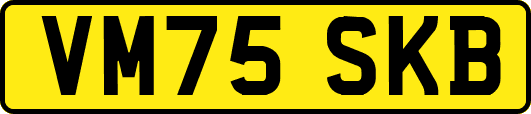 VM75SKB