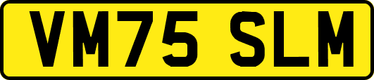 VM75SLM