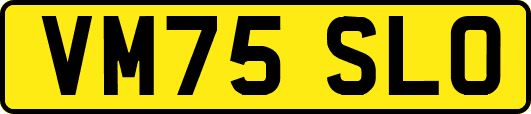 VM75SLO